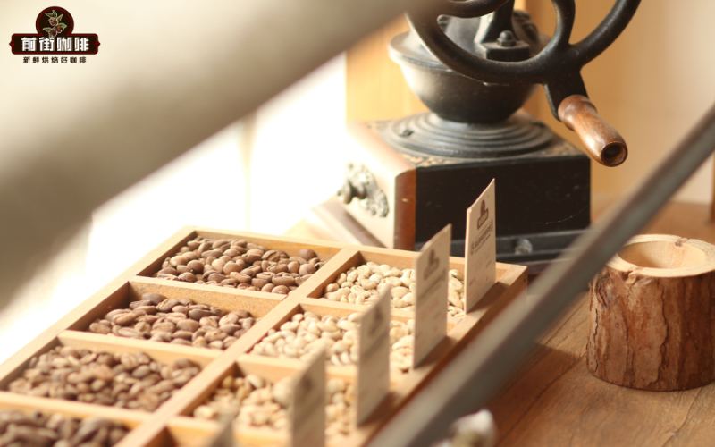 A Beginner’s Guide to French Press Coffee: Grind Size, Bean Pairings, and a Practical Step-by-Step with Hakka