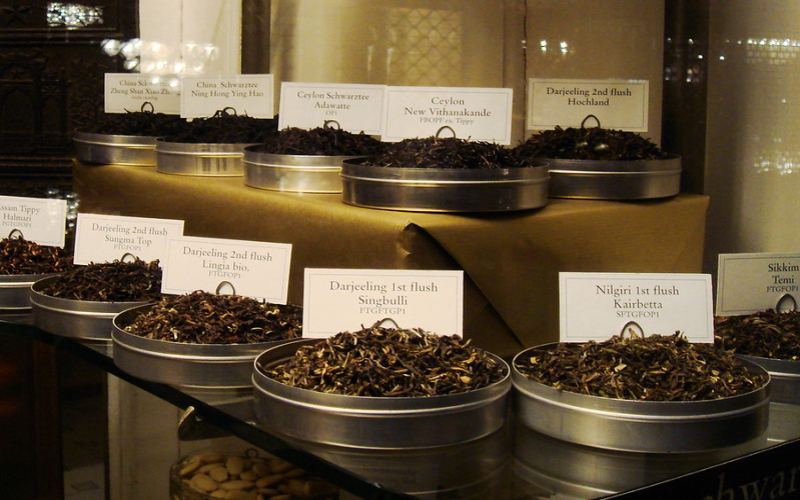Darjeeling Glenburn Tea Estate Tour | How Altitude and Season Affect Black Tea Flavor