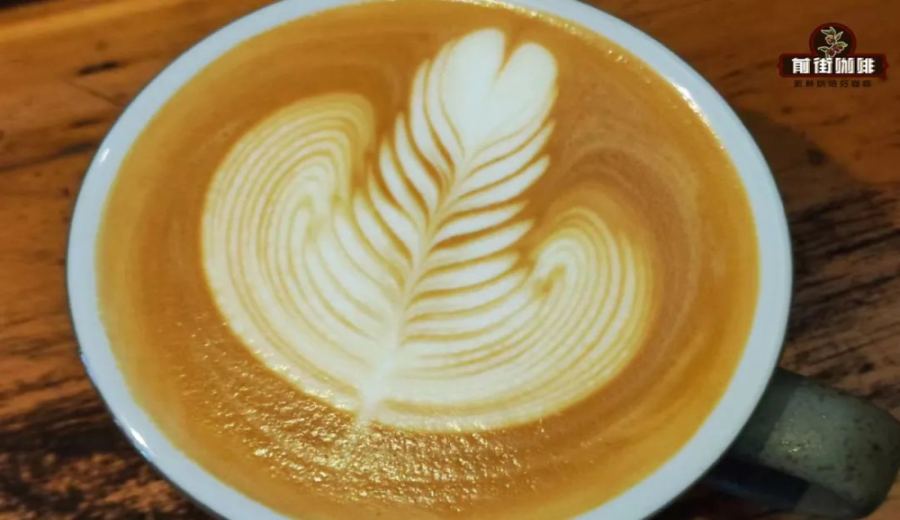 Latte Leaf Latte Art for Beginners: A Complete Guide to Techniques from Bean Selection to the Final Pull Back