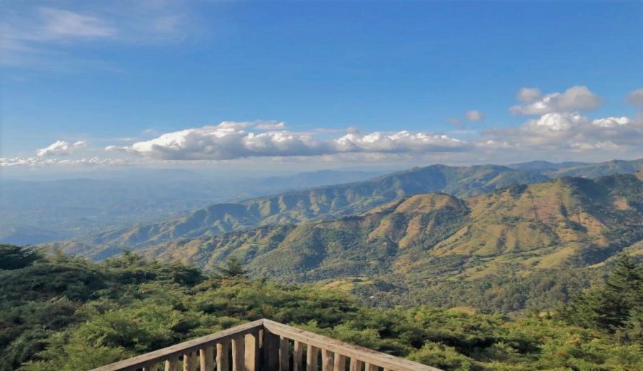 Complete Guide to El Salvador’s Nine Major Coffee Regions: Pour Over Parameters and Flavor Profiles of Bourbon, Pacas, and Pacamara