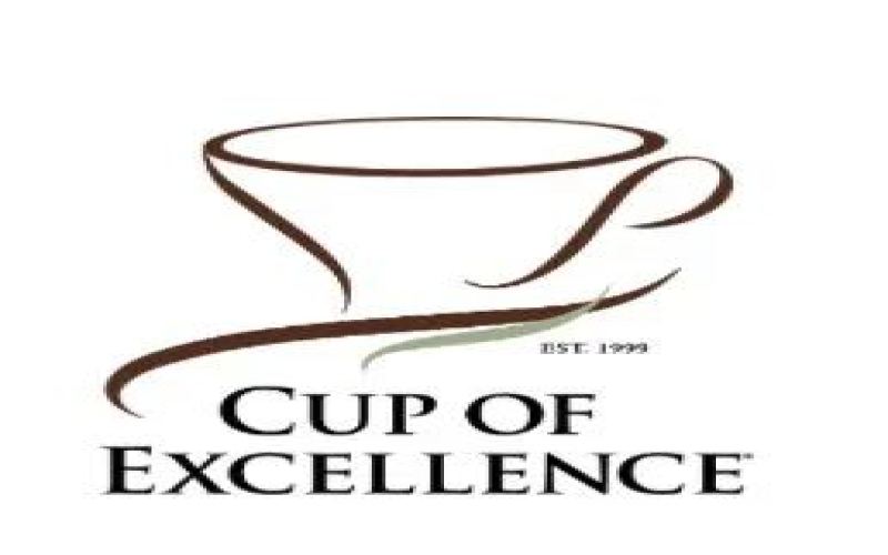 In-depth Study Tour of El Salvador’s Entire Coffee Industry Chain | First Stop of the COE-Origin Immersive Program