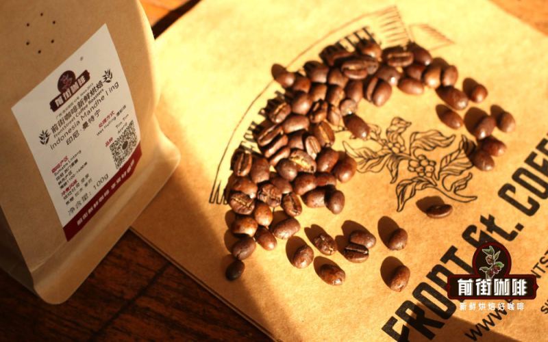 Complete Guide to Indonesia’s Three Major Island Coffee Regions | Flavor Profiles, Processing Methods & Roasting Recommendations