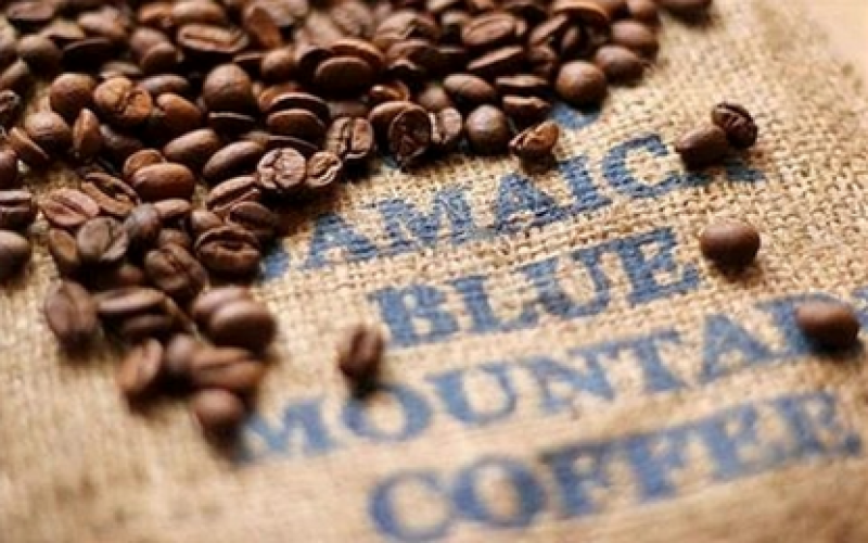 A Complete Guide to Jamaican Blue Mountain Coffee: Grades, Flavors, Prices, Pour Over Parameters & Authenticity Identification