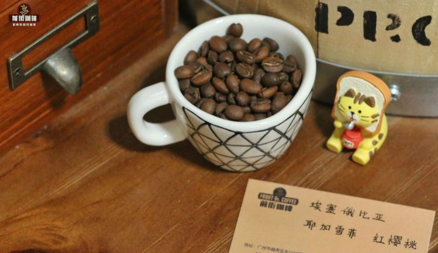 A Complete Guide to SOE Espresso: Differences Between Single-Origin Beans and Blends | 4 Highly Cost-Effective SOEs Recommended