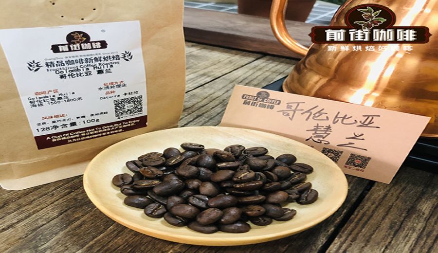 Flavor Profile of Colombian Huila Washed Beans | A Nutty-Chocolatey Pour Over Must-Try for Beginners