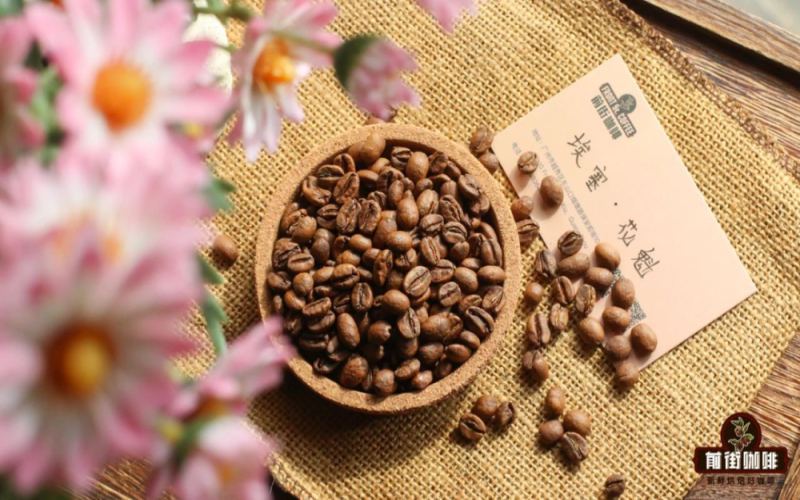 精品咖啡豆十大熱門品種選購指南：從產地處理法到風味特點全面解析