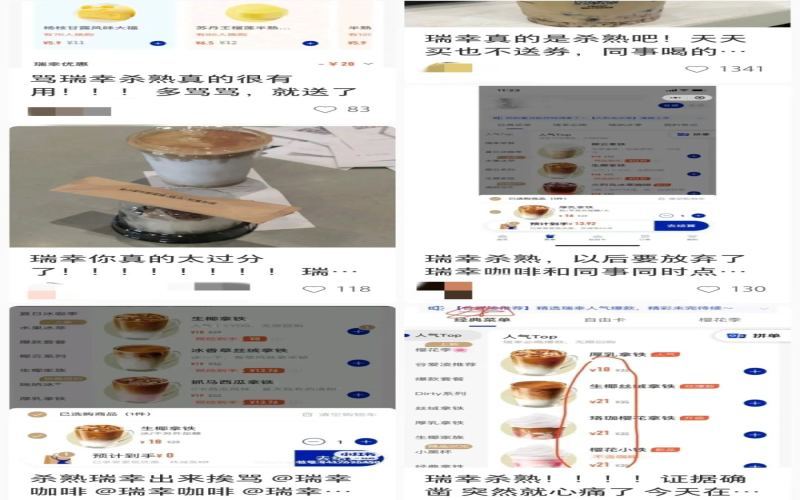 Analysis of Price Differences for Luckin’s Fresh Cheese Latte: Big Data Price Discrimination or Market Strategy?