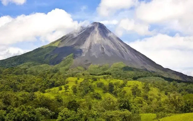 Costa Rica 2024 COE Washed Champion: Finca Santa Teresa – High-Altitude Geisha Cultivation & Blue Flag Sustainability Practices
