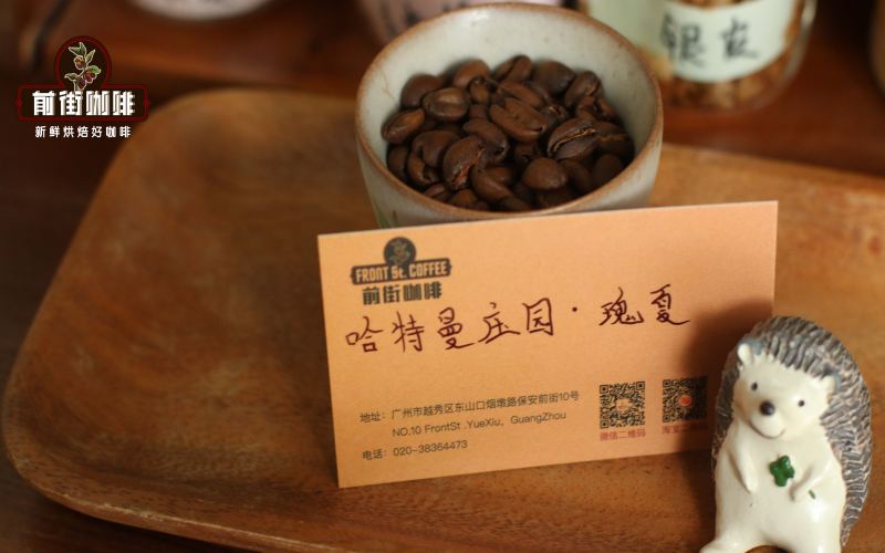 Panama Volcan Caturra Gesha: A Complete Guide to Anaerobic Natural Processing & Pour Over Flavor