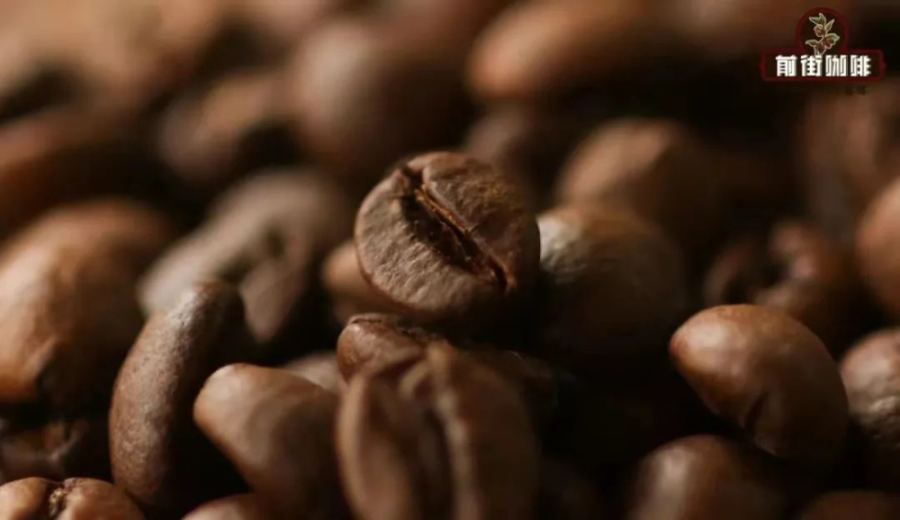 Essential Vietnamese Coffee Guide: Characteristics of Robusta Beans and the Complete Recipe for Drip Coffee with Condensed Milk