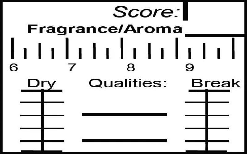 Detailed Explanation of the SCAA Coffee Cupping Evaluation Form: 10 Professional Assessments from Aroma to Overall Flavor