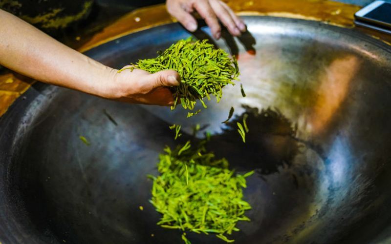 A Complete Guide to Charcoal-Roasted Single-Bush Oolong Tea: The Cause of Cinnamon Aroma, Roasting Techniques, and Market Trends