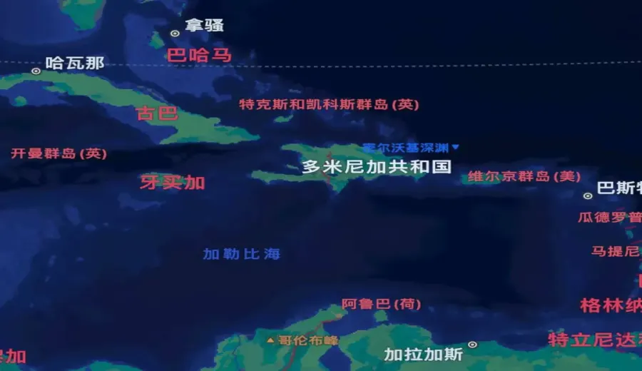 A Complete Guide to Dominican Coffee Origins: Flavor Profiles and Growing Altitudes at a Glance