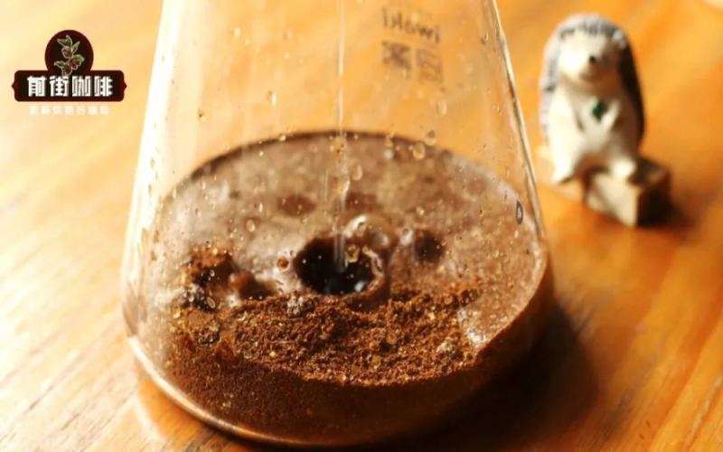 Lazy People Must Learn This: A Complete Guide to 3 Methods of Making Coffee Ice Bricks and Brewing Ratios