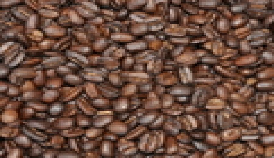 A Comprehensive Guide to Guatemala Antigua Coffee Region: Flavor, Terroir & Pour Over Recommendations