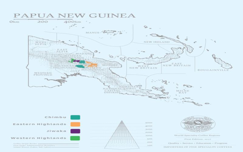 Papua New Guinea Bird of Paradise Typica Coffee: A Complete Guide to Terroir, Flavor, and Pour Over Parameters