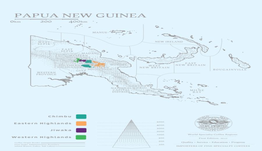 Papua New Guinea Bird of Paradise Typica Coffee: A Complete Guide to Terroir, Flavor, and Pour Over Parameters