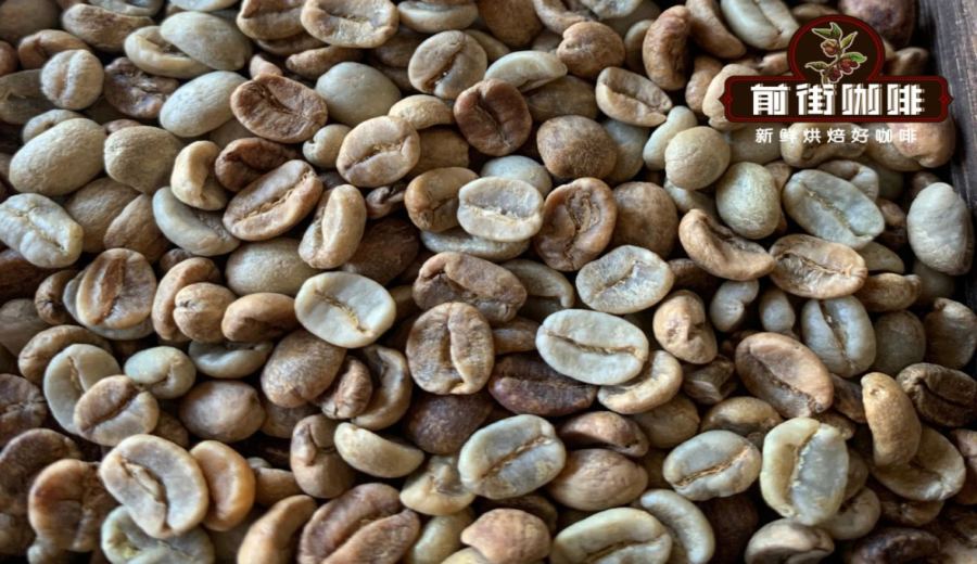 Comparison of Two Major Costa Rican Estate Geishas | Pour Over Recommendations & Varietal Flavor Analysis