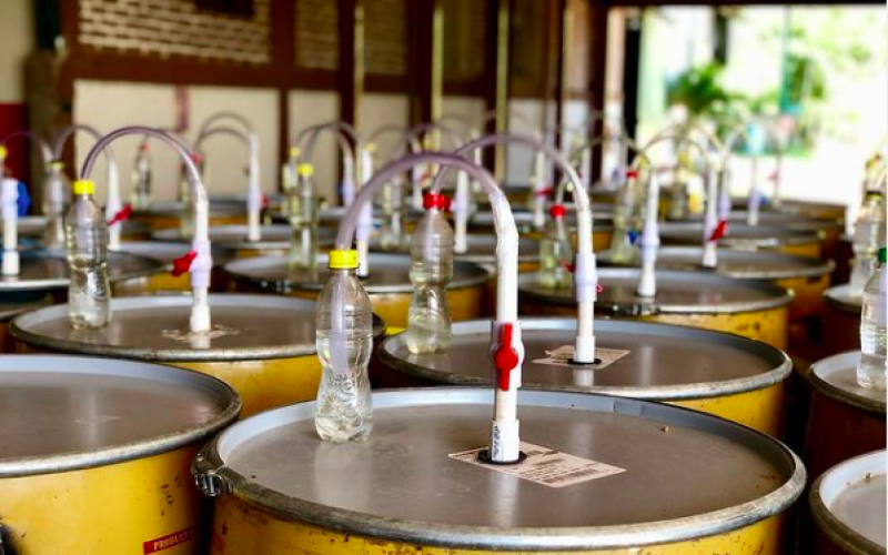 Complete Guide to Coffee Processing Methods: Enzymatic, Natural, Washed, and Honey – Differences and Flavor Profiles