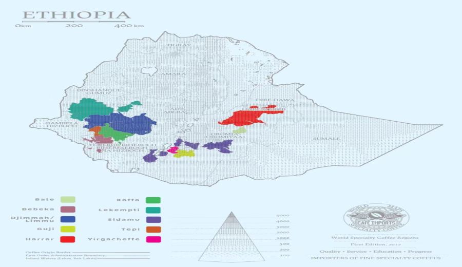 Analysis of Yirgacheffe Konga Cooperative Coffee Beans: Native Varieties + Natural Processing, Full V60 Pour Over Parameter Guide