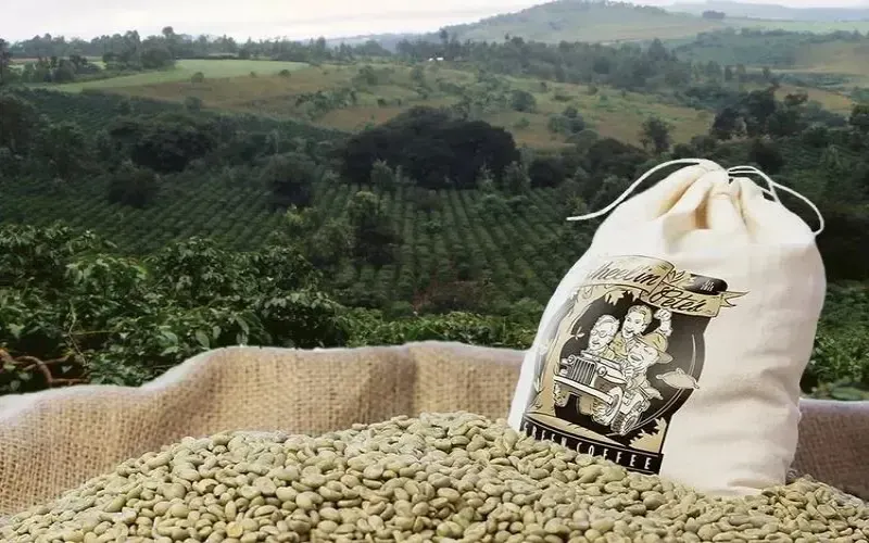 Unveiling Tanzania’s Mbeya Region: How High Altitude and Cooperatives Nurture Specialty Coffee