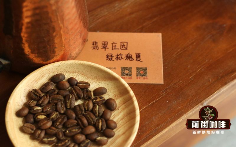 In-depth Analysis of Panamanian Geisha Coffee: Variety Characteristics, Regional Flavors, and Pour Over Recommendations
