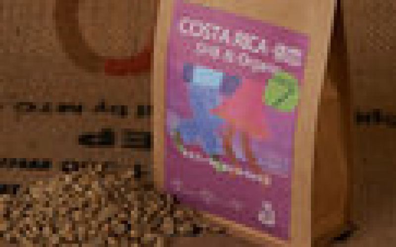 A Complete Guide to Costa Rica’s Coffee Regions: Flavor Profile & High-Altitude Growing Advantages