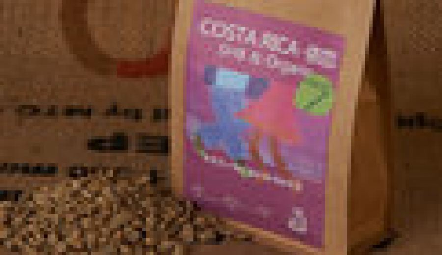 A Complete Guide to Costa Rica’s Coffee Regions: Flavor Profile & High-Altitude Growing Advantages