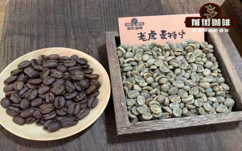 Flavor Profile of Sumatra Tiger Mandheling | Wet-Hulled Processing and Optimal Pour Over Brewing Settings
