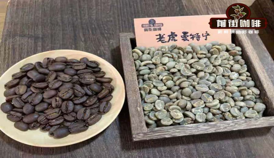 Flavor Profile of Sumatra Tiger Mandheling | Wet-Hulled Processing and Optimal Pour Over Brewing Settings