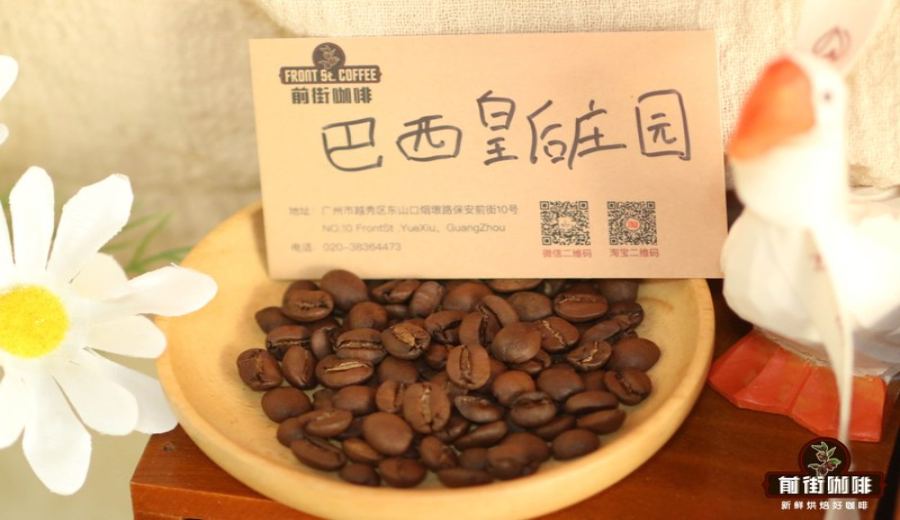 Medium Roast Coffee Bean Recommendations for Espresso Machines | A Practical & Budget-Friendly Entry Guide
