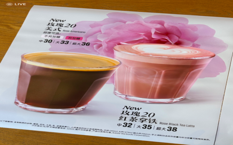 Full Review of Starbucks Valentine’s Day Rose Drink & Analysis of Bouquet Bear Plush Quality Issues