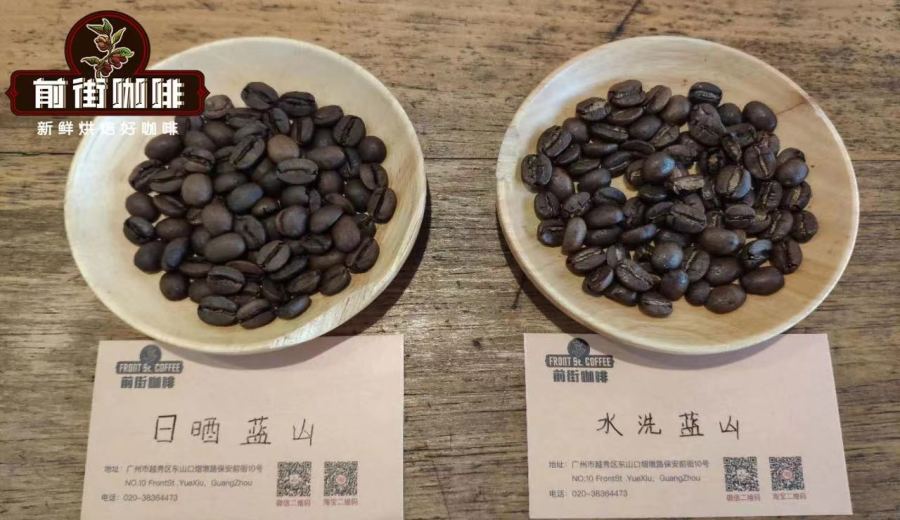 What’s the difference between Jamaican Blue Mountain coffee beans and Blue Mountain-flavored coffee? A must-read guide before buying