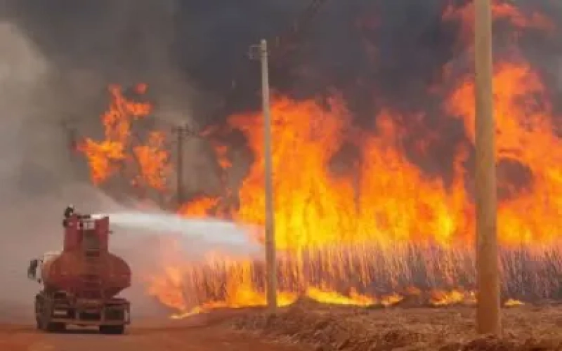 Raging Fires in São Paulo, Brazil: Coffee Futures Prices May Continue to Soar