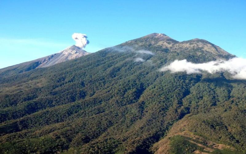 A Complete Guide to Guatemalan Coffee: Regions, Processing Methods, and Pour Over Flavor Profiles