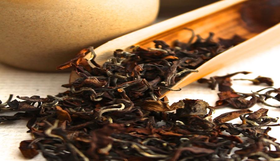 How to Choose Honey-Scented Black Tea? A Complete Guide to Yunnan Ancient Tree Tea & Oriental Beauty Blends