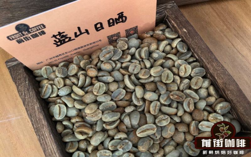 In-depth Analysis of Blue Mountain Geisha: Jamaica's No. 1 Grading System and Hands-on Pour Over Experience of Geisha Flavor