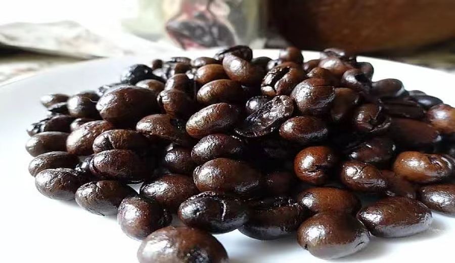 Kopi Luwak Flavor Analysis: A Complete Guide to the Differences Between Wild and Farm-Raised Varieties and Their Flavor Profiles