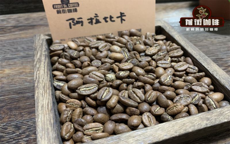 Complete Guide to Arabica Coffee Varieties: Flavor Profiles & Pour Over Recommendations