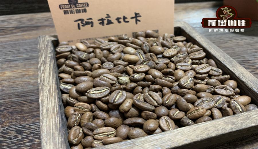 Is Blue Mountain Arabica? An In-depth Analysis of Flavor, Varieties, and Cultivation Essentials
