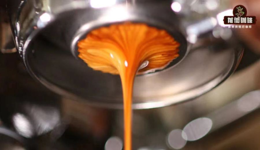 An Espresso Beginner’s Guide: Making and Flavor Analysis of Espresso and Classic Milk-Based Coffees