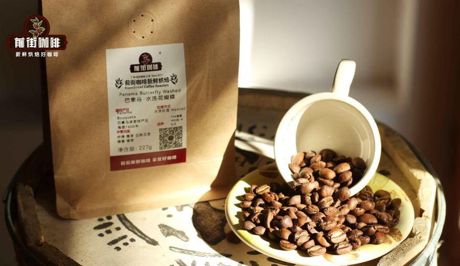 Top 6 Specialty Coffee Bean Brands Worldwide | A Complete Guide to Choosing Pour Over & Espresso Beans