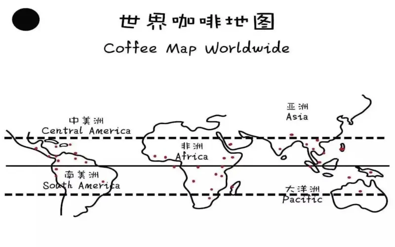 In-depth Analysis of the Hawaii Kona Coffee Region: The Perfect Combination of Typica Variety, Volcanic Soil, and Washed Processing
