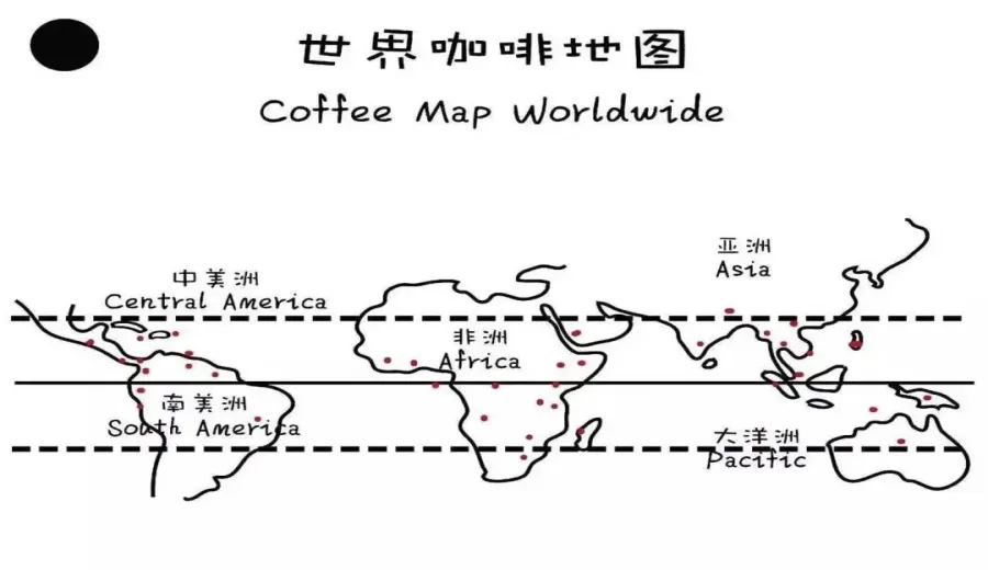 In-depth Analysis of the Hawaii Kona Coffee Region: The Perfect Combination of Typica Variety, Volcanic Soil, and Washed Processing