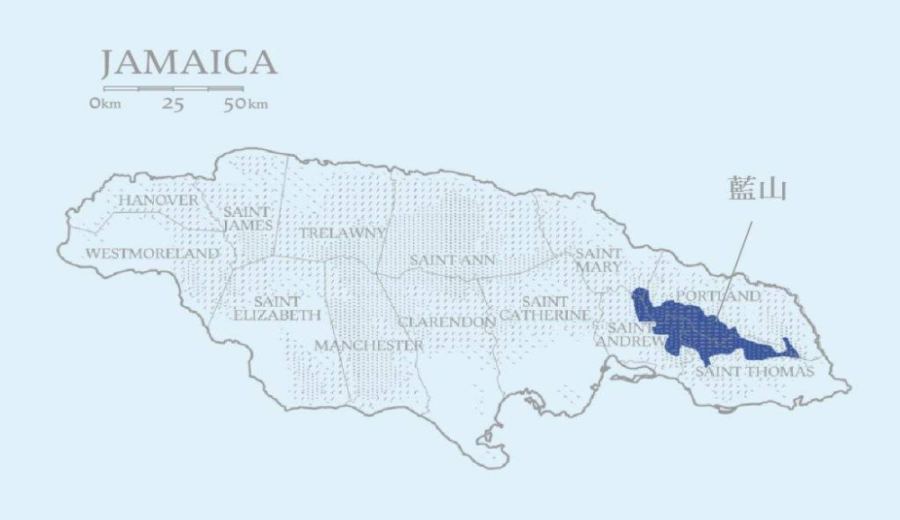 How to Brew Jamaican Blue Mountain Coffee? A Complete Guide to Flavor Profile & Pour Over Parameters