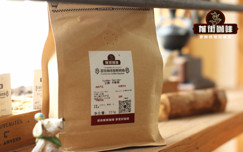 A Complete Guide to Yunnan Small-Bean Coffee: Varieties, Regional Characteristics, and Pour Over Parameters