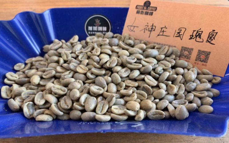 Flavor Profile of Colombian Geisha | Complete Guide to Highland Washed Processing and Brewing Recommendations