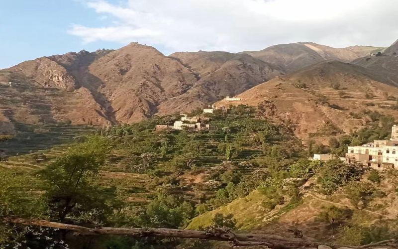 In-depth Guide to Yemen’s Coffee Regions: From the Origins of the Mocha Port to High-Altitude Cultivation Secrets