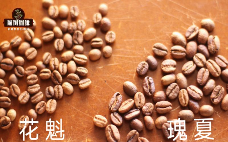 The Ultimate Guide to Geisha Coffee: From Its Ethiopian Origins to Panamanian Grading and Brewing Secrets