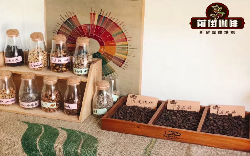 Flavor Profile of Venezuelan Coffee Regions: A Guide from Historical Ups and Downs to Modern Revival